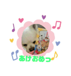 愛息子チロル②（個別スタンプ：40）