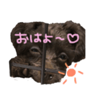 ♡らぶちゃんのスタンプ♡（個別スタンプ：6）