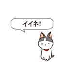 今日もハスキー（個別スタンプ：3）