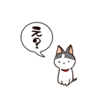 今日もハスキー（個別スタンプ：5）