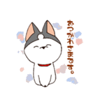 今日もハスキー（個別スタンプ：6）