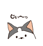 今日もハスキー（個別スタンプ：9）