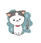 今日もハスキー（個別スタンプ：10）