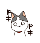 今日もハスキー（個別スタンプ：12）
