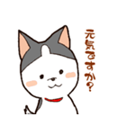 今日もハスキー（個別スタンプ：16）