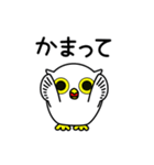 フクロウさんと一緒（個別スタンプ：6）