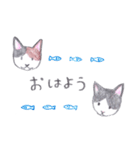 ゆるっといえねこ（個別スタンプ：1）