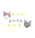 ゆるっといえねこ（個別スタンプ：2）