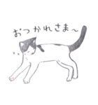 ゆるっといえねこ（個別スタンプ：3）