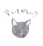 ゆるっといえねこ（個別スタンプ：4）