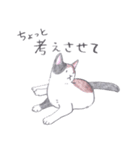 ゆるっといえねこ（個別スタンプ：7）