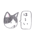ゆるっといえねこ（個別スタンプ：11）