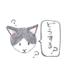 ゆるっといえねこ（個別スタンプ：12）