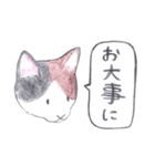 ゆるっといえねこ（個別スタンプ：13）