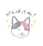 ゆるっといえねこ（個別スタンプ：14）