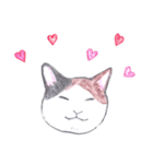 ゆるっといえねこ（個別スタンプ：16）