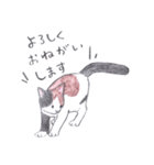ゆるっといえねこ（個別スタンプ：17）