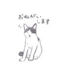 ゆるっといえねこ（個別スタンプ：18）