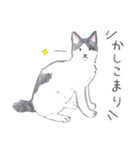 ゆるっといえねこ（個別スタンプ：20）