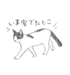 ゆるっといえねこ（個別スタンプ：21）