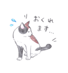 ゆるっといえねこ（個別スタンプ：22）