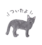 ゆるっといえねこ（個別スタンプ：23）