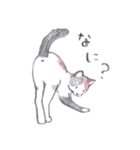 ゆるっといえねこ（個別スタンプ：28）