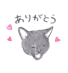 ゆるっといえねこ（個別スタンプ：30）