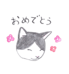ゆるっといえねこ（個別スタンプ：31）