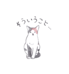 ゆるっといえねこ（個別スタンプ：34）