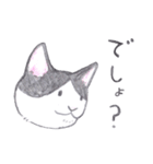 ゆるっといえねこ（個別スタンプ：35）