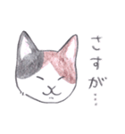 ゆるっといえねこ（個別スタンプ：36）
