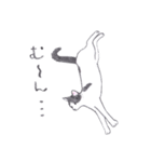 ゆるっといえねこ（個別スタンプ：37）