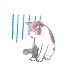 ゆるっといえねこ（個別スタンプ：39）