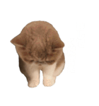 ちくわおじさん（個別スタンプ：4）