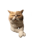 ちくわおじさん（個別スタンプ：6）