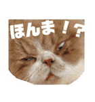 ちくわおじさん（個別スタンプ：10）
