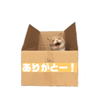 ちくわおじさん（個別スタンプ：14）