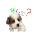 にゃんこ。わんこ気軽にあいさつ(北海道弁)（個別スタンプ：14）