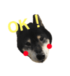 猫時々犬。（個別スタンプ：18）