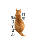 猫時々犬。（個別スタンプ：20）