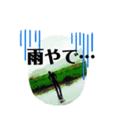 地元の日常。（個別スタンプ：9）