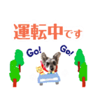 シュナウザーファミリー（個別スタンプ：20）