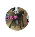 イタグレライフ（個別スタンプ：5）