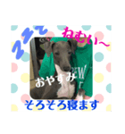 イタグレライフ（個別スタンプ：6）