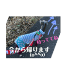 イタグレライフ（個別スタンプ：8）