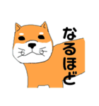 日常的な会話。其ノ二（個別スタンプ：4）