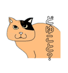 日常的な会話。其ノ二（個別スタンプ：5）