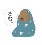 ライオネル＆といぷー＆ゆるい仲間たち（個別スタンプ：15）