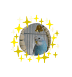 ピッピのstamp（個別スタンプ：7）